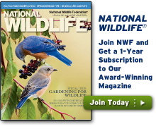 Join NWF and get a one year subscription to our magazine!